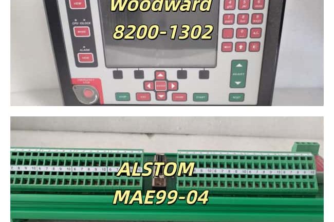 WOODWARD 8200-1302